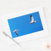 Sticker Rectangulaire Tadorne commune (Enveloppe)