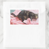 Sticker Rectangulaire Tailor Dave (Sac)