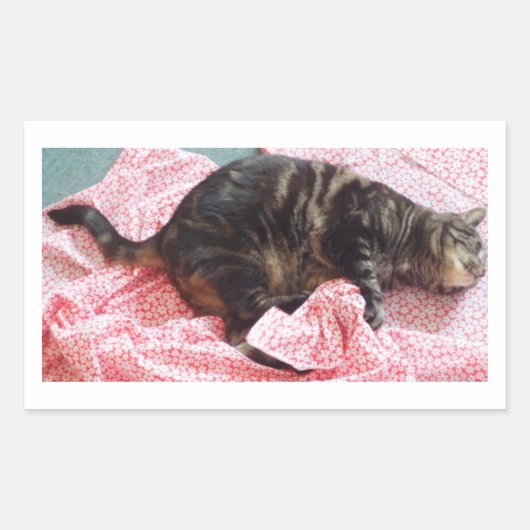 Sticker Rectangulaire Tailor Dave (Devant)