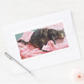 Sticker Rectangulaire Tailor Dave (Enveloppe)