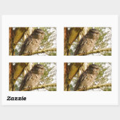 STICKER RECTANGULAIRE TAWNY FROGMOUTH QUEENSLAND AUSTRALIE (Feuille)