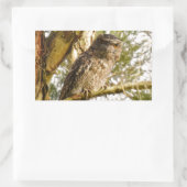STICKER RECTANGULAIRE TAWNY FROGMOUTH QUEENSLAND AUSTRALIE (Sac)