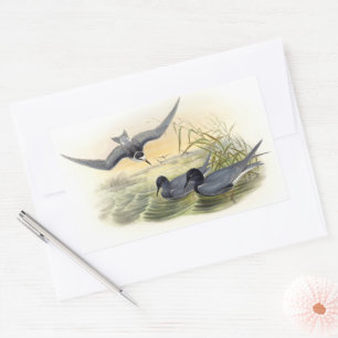Sticker Rectangulaire Terne noire