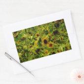 Sticker Rectangulaire Terrain de tournesol (Enveloppe)