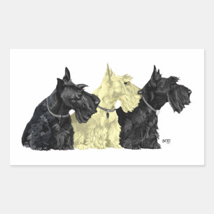 Sticker Rectangulaire Terriers écossais noirs et roux
