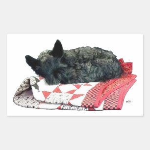 Sticker Rectangulaire Tervueren écossais faisant la sieste