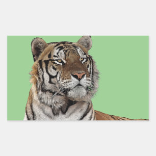 Sticker Rectangulaire tête de tigre mâle animal faune nature art