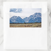 Sticker Rectangulaire Teton 6976 (Sac)