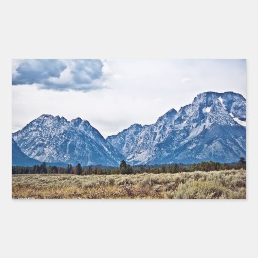 Sticker Rectangulaire Teton 6976 (Devant)