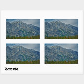 Sticker Rectangulaire Teton NP 6901 (Feuille)