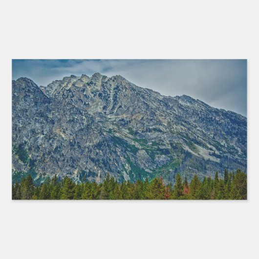 Sticker Rectangulaire Teton NP 6901 (Devant)
