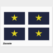 Sticker Rectangulaire Texas, Drapeau Historique Burnet Star, Distressed (Feuille)