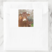 Sticker Rectangulaire The cow and his calf - La vache et son veau (Sac)