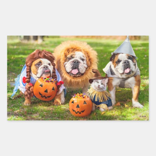 Sticker Rectangulaire Three Bulldogs in Costumes (Devant)