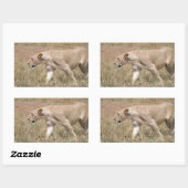 Sticker Rectangulaire tige de lion (Feuille)