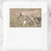 Sticker Rectangulaire tige de lion (Sac)