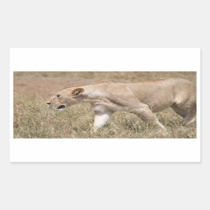 Sticker Rectangulaire tige de lion