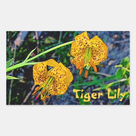 Sticker Rectangulaire Tiger Lily (Devant)