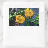 Sticker Rectangulaire Tiger Lily (Sac)