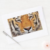 Sticker Rectangulaire Tigre (Enveloppe)