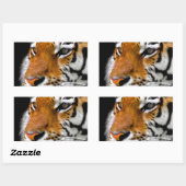 Sticker Rectangulaire Tigre (Feuille)