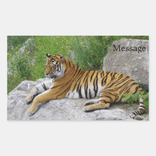 Sticker Rectangulaire Tigre de Sibérie se reposant sur un rocher
