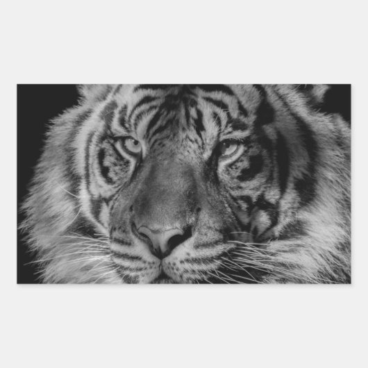 Sticker Rectangulaire Tigre noir et blanc (Devant)