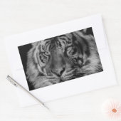 Sticker Rectangulaire Tigre noir et blanc (Enveloppe)