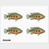 Sticker Rectangulaire Tilapia tacheté (Feuille)