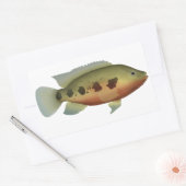 Sticker Rectangulaire Tilapia tacheté (Enveloppe)