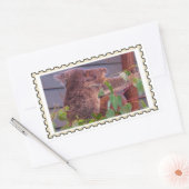 Sticker Rectangulaire Timbre faux de bébé koala (Enveloppe)