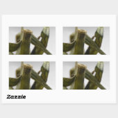 Sticker Rectangulaire Tomate (Feuille)