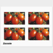 Sticker Rectangulaire Tomates rouges (Feuille)