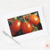 Sticker Rectangulaire Tomates rouges (Enveloppe)
