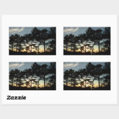 Sticker Rectangulaire Torrey Pine Sunset II Californie Paysage (Feuille)