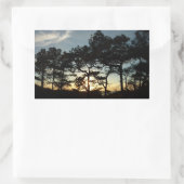 Sticker Rectangulaire Torrey Pine Sunset II Californie Paysage (Sac)