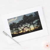 Sticker Rectangulaire Torrey Pine Sunset II Californie Paysage (Enveloppe)