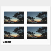 Sticker Rectangulaire Torrey Pine Sunset III Paysage californien (Feuille)
