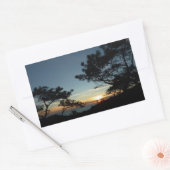 Sticker Rectangulaire Torrey Pine Sunset III Paysage californien (Enveloppe)