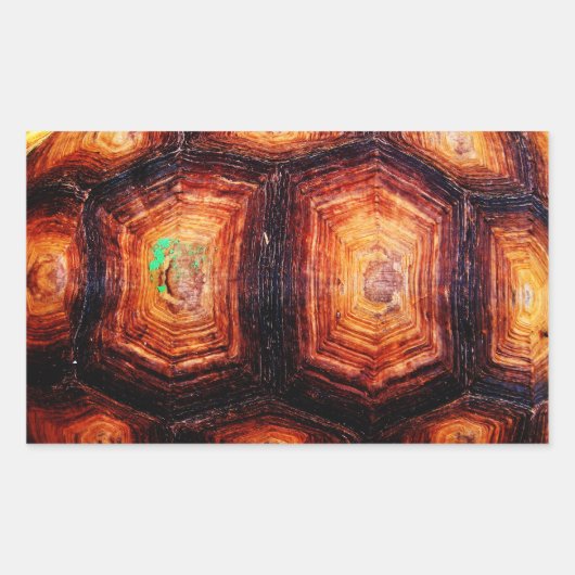 Sticker Rectangulaire Tortois (Devant)
