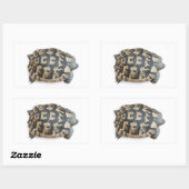 Sticker Rectangulaire Tortue (Feuille)