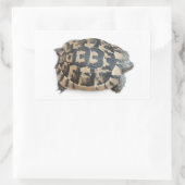 Sticker Rectangulaire Tortue (Sac)