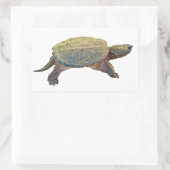 Sticker Rectangulaire Tortue commune - Chelydra serpentina (Sac)