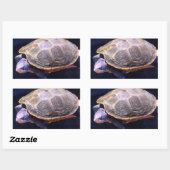 Sticker Rectangulaire Tortue Diamondback (Feuille)
