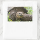 Sticker Rectangulaire Tortue géante (Sac)