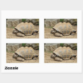 Sticker Rectangulaire Tortue souriante (Feuille)
