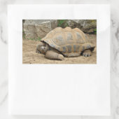 Sticker Rectangulaire Tortue souriante (Sac)