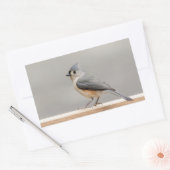 Sticker Rectangulaire Touffé (Enveloppe)