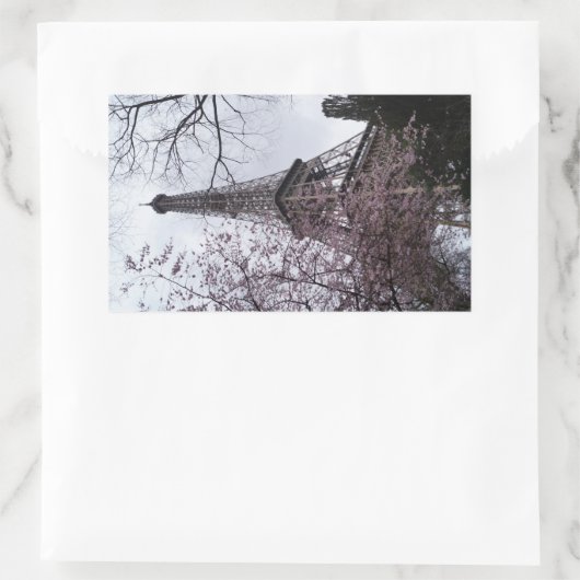 Sticker Rectangulaire Tour Eiffel fleurie (Sac)