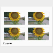 Sticker Rectangulaire Tournesol (Feuille)